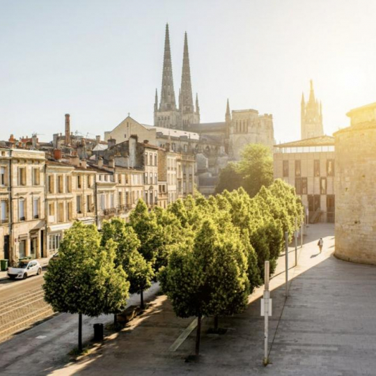  Annonces LEHAILLAN : Appartement | BORDEAUX (33000) | 45 m2 | 229 000 € 
