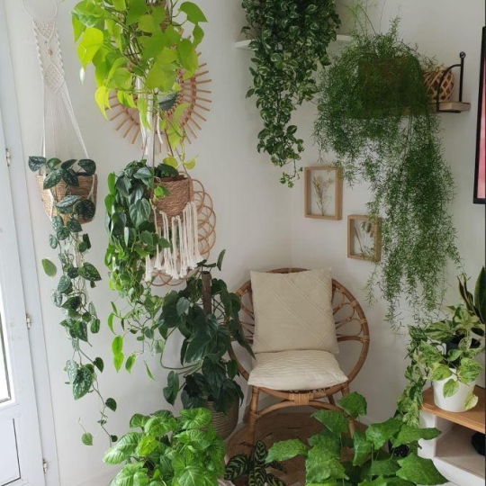  Annonces LEHAILLAN : Appartement | EYSINES (33320) | 42 m2 | 155 000 € 