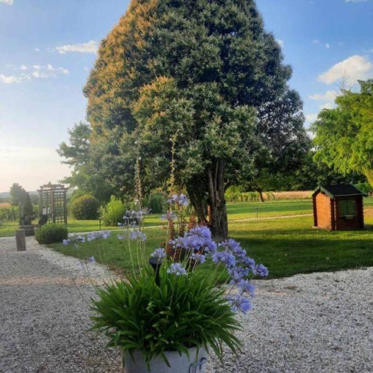  IMMOG Le Haillan Agent Immobilier : Domaines / Propriétés | JONZAC (17500) | 116 m2 | 715 000 € 
