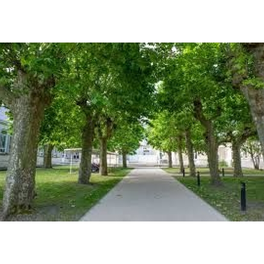  Annonces LEHAILLAN : Apartment | TALENCE (33400) | 90 m2 | 485 000 € 