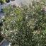  Annonces LEHAILLAN : House | FLOIRAC (33270) | 109 m2 | 405 000 € 