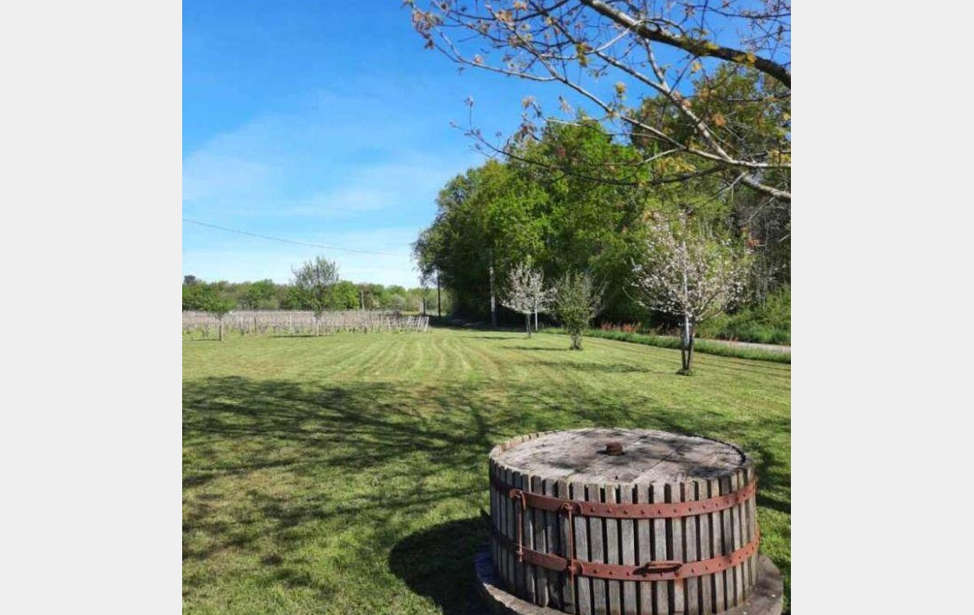 IMMOG Le Haillan Agent Immobilier : Domaines / Propriétés | JONZAC (17500) | 116 m2 | 715 000 € 